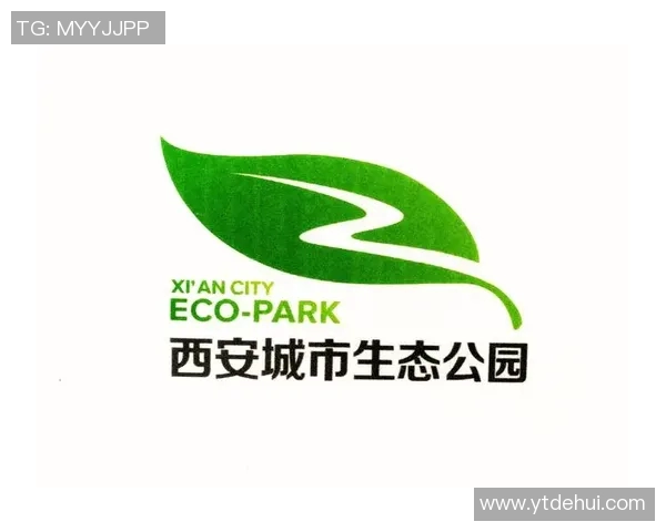 西安姚明华：探索篮球文化与城市发展的交融之路